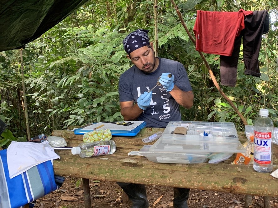A man is sitting at a table under a tent in the forest, holding a bird. He is trying to get a DNA sample. On the table are laboratory supplies.