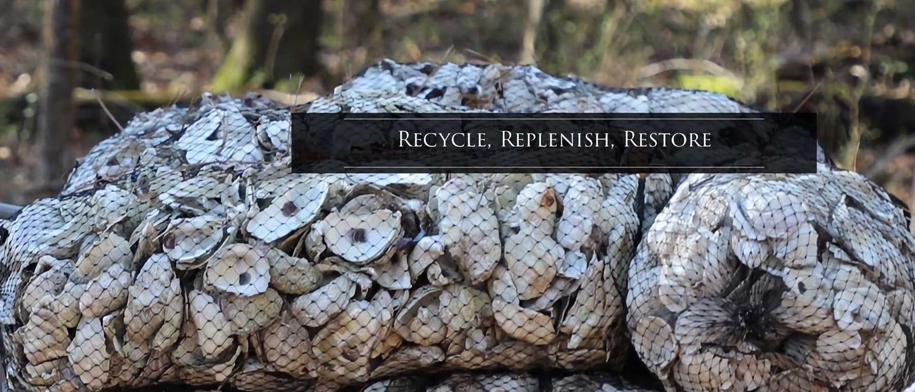 recycle, replenish and restore oysters
