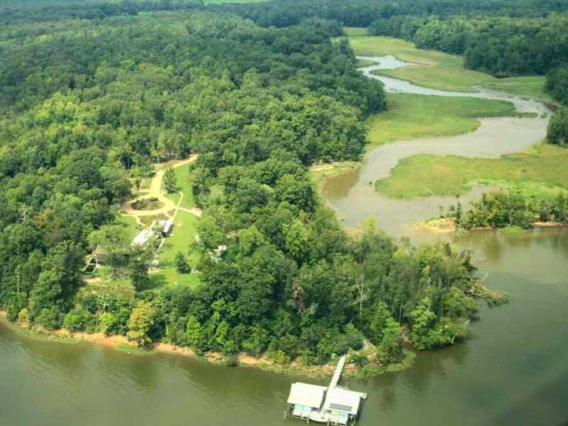 aerial view of the woodlands and waterways surround the rice rivers center