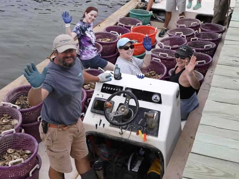 four people aboard a boat containing bins full of oyster shells