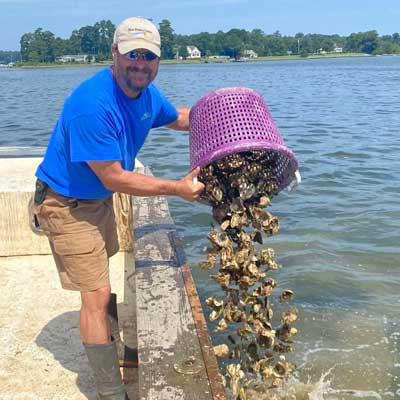 todd janeski dumping oysters in the river