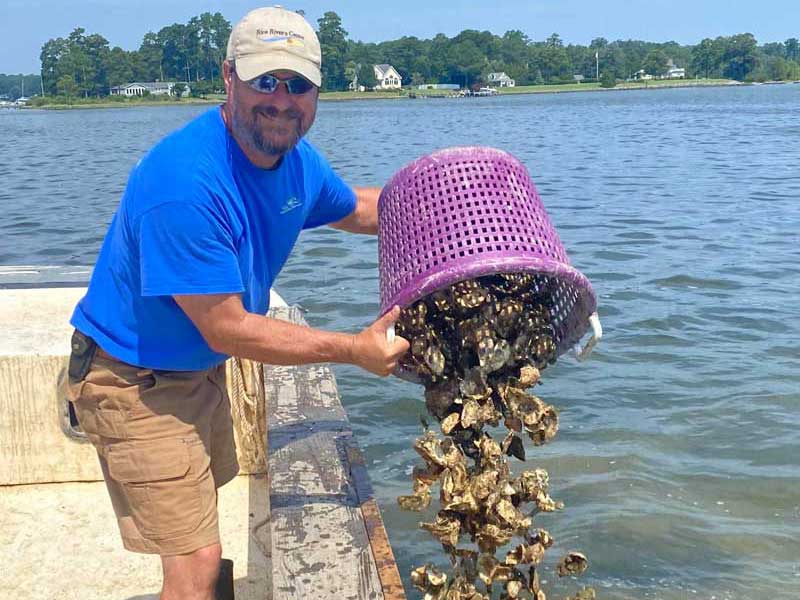todd janeski dumping oyster shells in a body of water