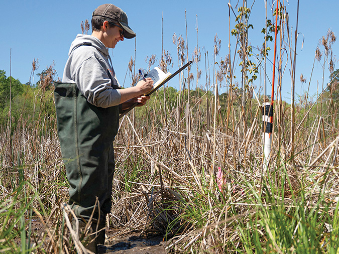 Student measures the depth of the water table near groundwater wells at the Rice River Center.